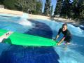 SURF*KID