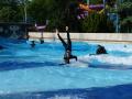 Haladó Surf Rider