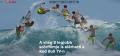 Surf movies