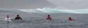 Surfing With Whales