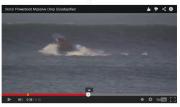 MASSIVE DROP / surf surfer.hu