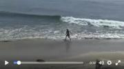 LOCAL RIDE / www.surfer.hu surf surfer